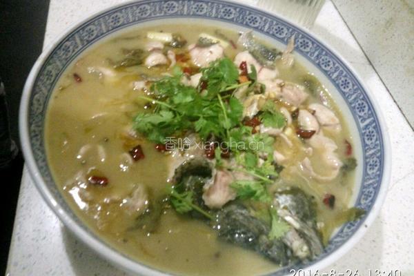 酸菜生鱼的做法图解11