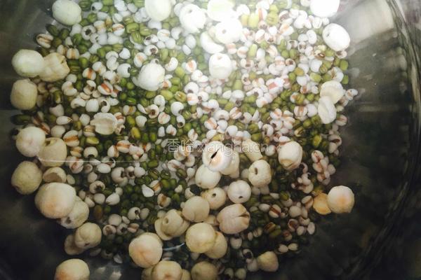 薏米莲子绿豆粥的做法图解3