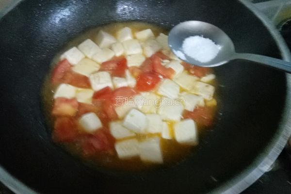 西红柿烧豆腐的做法图解8
