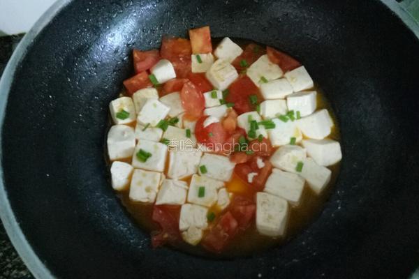西红柿烧豆腐的做法图解10