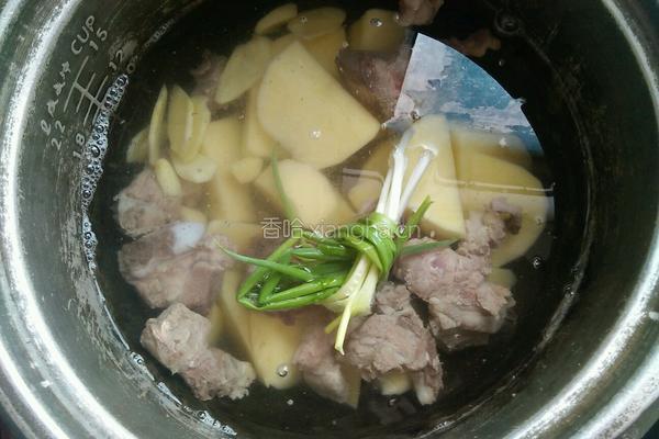 排骨土豆汤的做法图解5