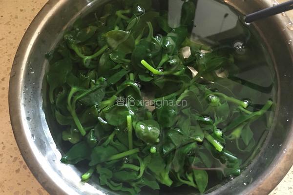 拌穿心莲的做法图解5