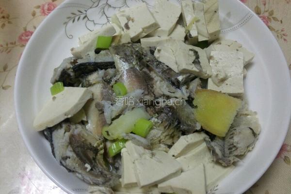 清炖鲫鱼的做法图解5