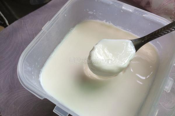 酸牛奶的做法图解10