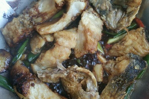 鱼炖豆腐的做法图解4
