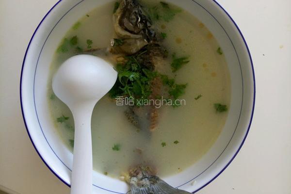 通草鲫鱼汤的做法图解4