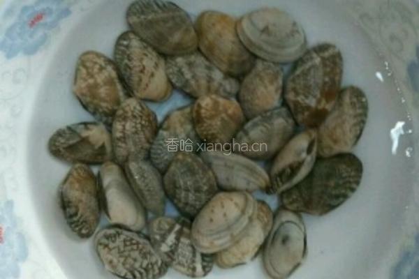 蛤蜊炖冬瓜的做法图解1