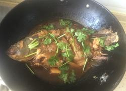 啤酒鲤鱼
