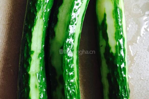 紫苏黄瓜的做法图解3