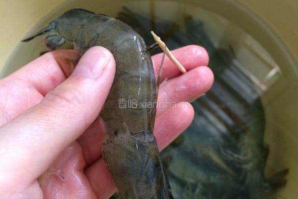 红焖大虾的做法图解2