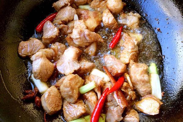 家常炖肉的做法图解4