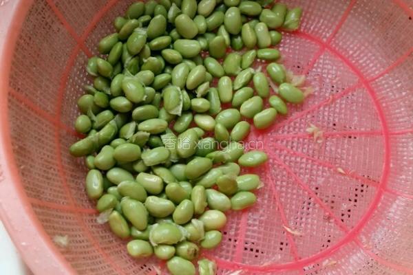 襄荷炒毛豆的做法图解2