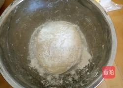 猪肉西葫芦包子的做法图解1