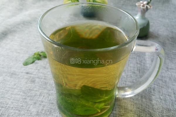薄荷水的做法图解7