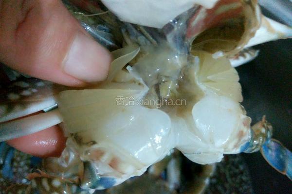 炒螃蟹的做法图解2