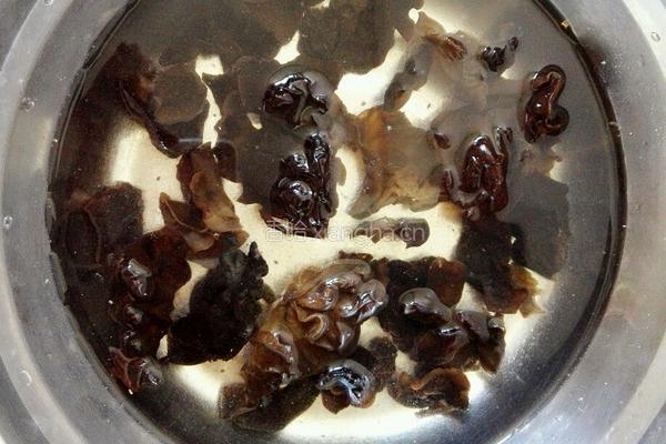 核桃仁拌木耳的做法图解1