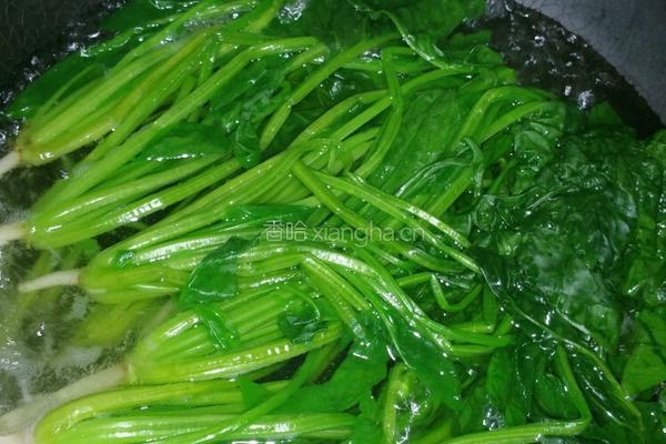 肉酱菠菜的做法图解6