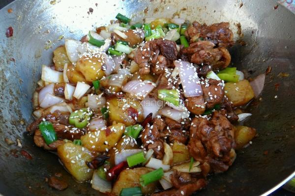 土豆炖鸡的做法图解10