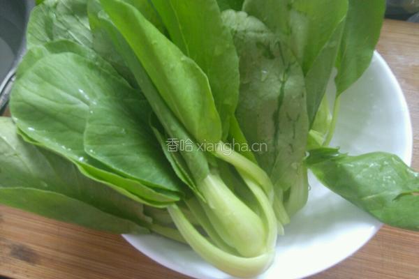 凉拌小油菜的做法图解1