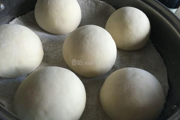 发面馒头的做法图解19