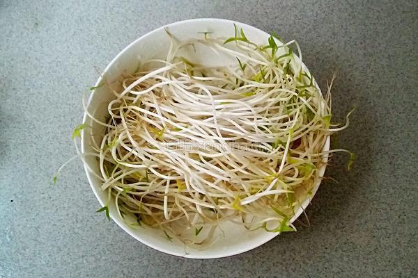 香辣水煮肉片的做法图解4