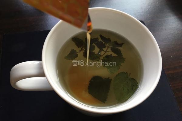 蜂蜜薄荷茶的做法图解3