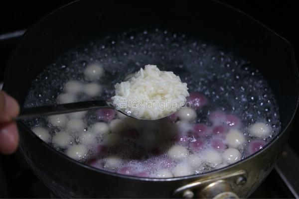 酒酿圆子的做法图解5