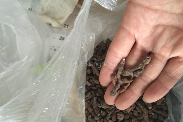 黑芝麻核桃黑豆糊的做法图解5