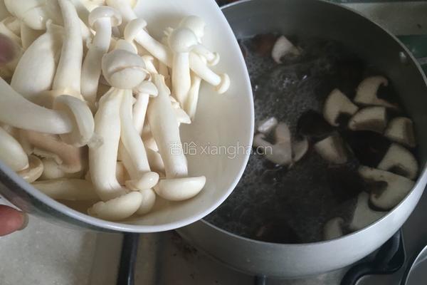 菌菇煲的做法图解6
