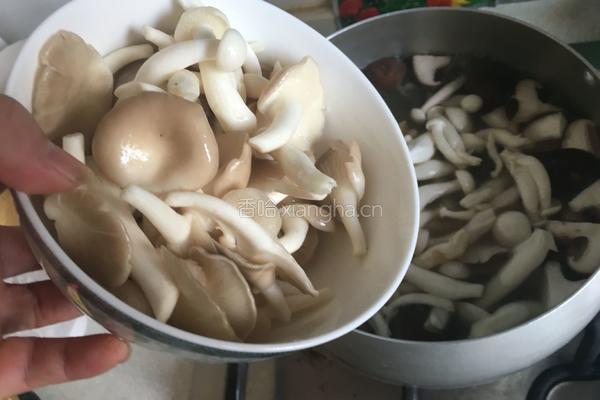 菌菇煲的做法图解7