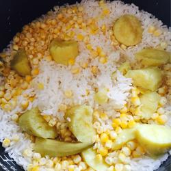 玉米地瓜饭的做法[图]