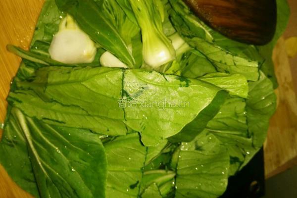 蒜蓉油菜的做法图解3