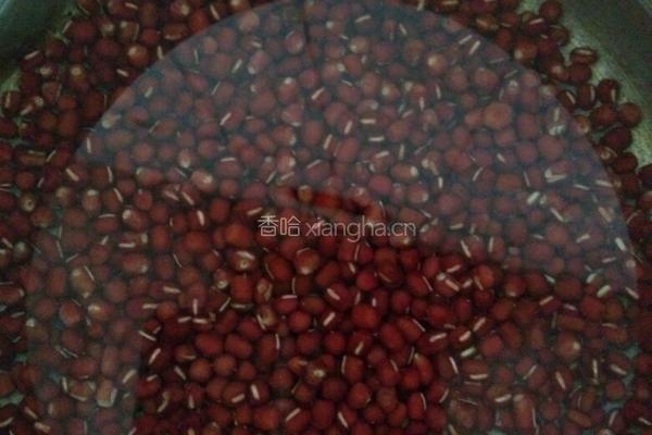手工红豆沙的做法图解1