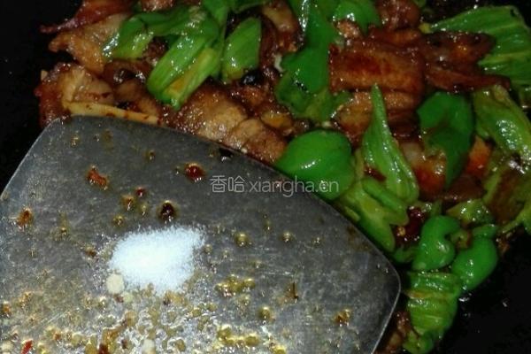 四川回锅肉的做法图解10