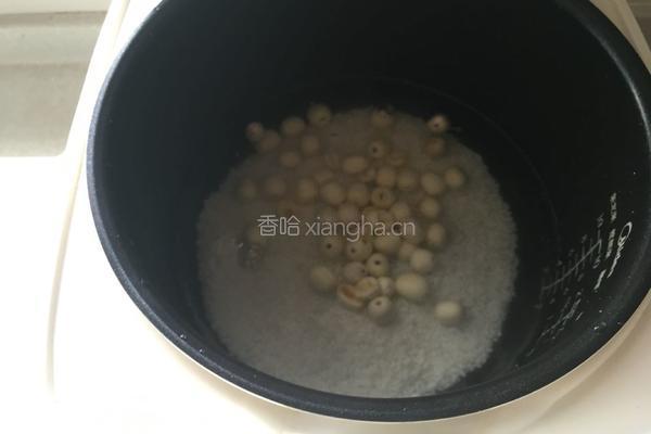 百合莲子瘦肉粥的做法图解3