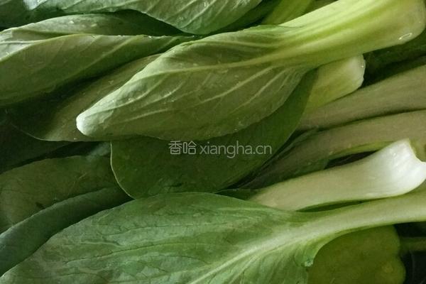 腐竹烧油菜的做法图解2
