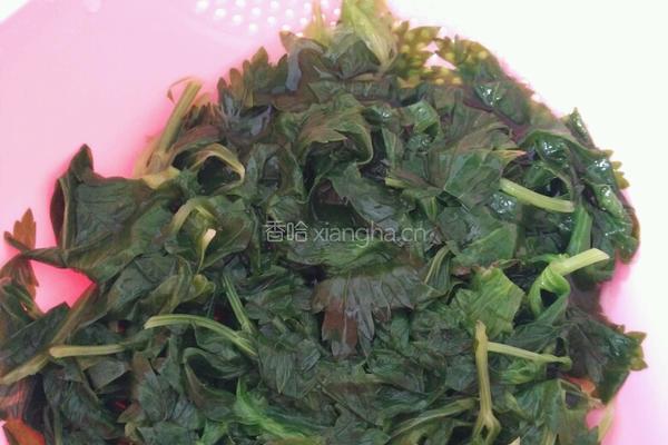 凉拌芹菜叶的做法图解3