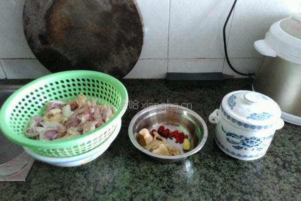 海底椰炖老鸡的做法图解1