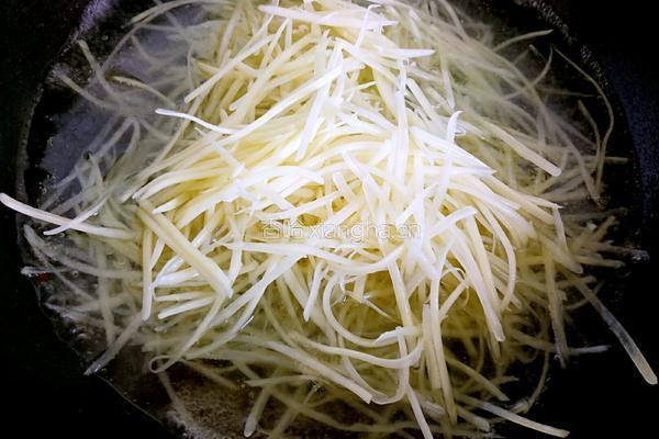呛拌香菜土豆丝的做法图解4