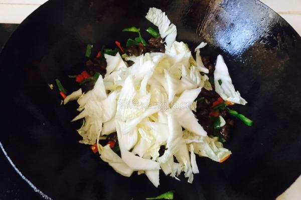 牛肉炒白菜的做法图解5