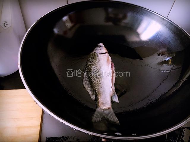 将沥干水份的鲫鱼，放入热好的锅内，中小火煎制