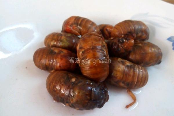 油炸金蝉