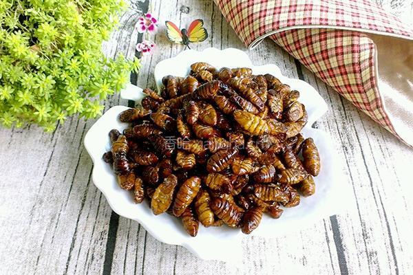油炸蚕蛹