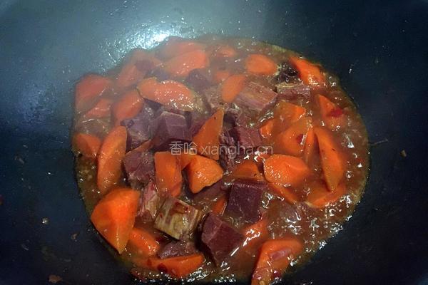牛肉炖胡萝卜的做法图解9