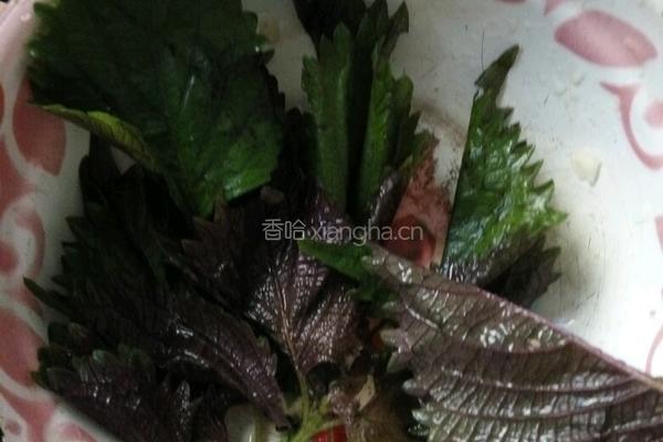 焖鱼酱料篇的做法图解2