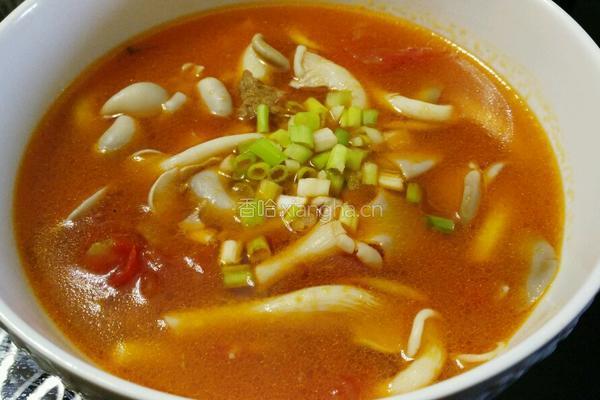 番茄小鸡菇（三鲜小鸡菇）的做法图解4
