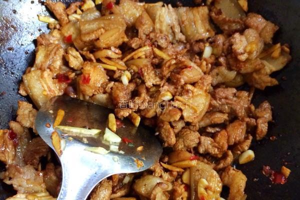 湖南小炒肉的做法图解5