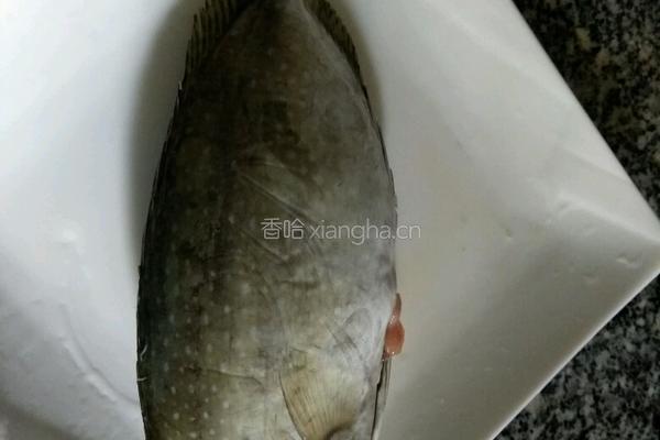 西瓜皮泥猛鱼汤的做法图解1