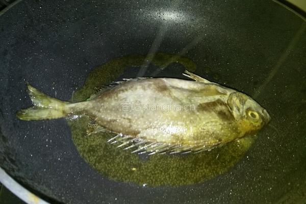西瓜皮泥猛鱼汤的做法图解5
