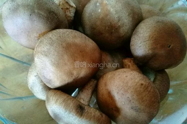 鸡腿炖香菇的做法图解4